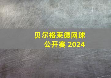 贝尔格莱德网球公开赛 2024